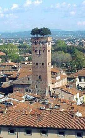 Da Elisa alle Sette Arti, Lucca