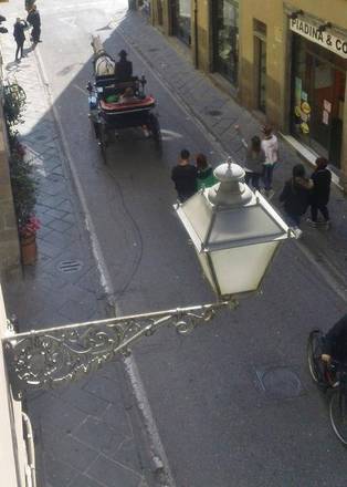 Le Violette, Lucca